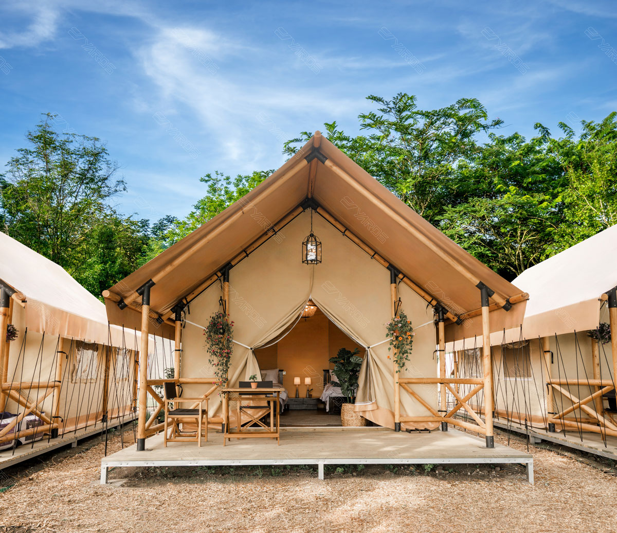 DSC05497-拷贝 - 副本