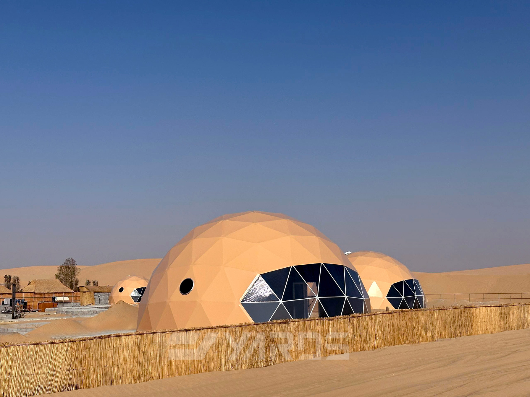 mmexport1703700349735(1)