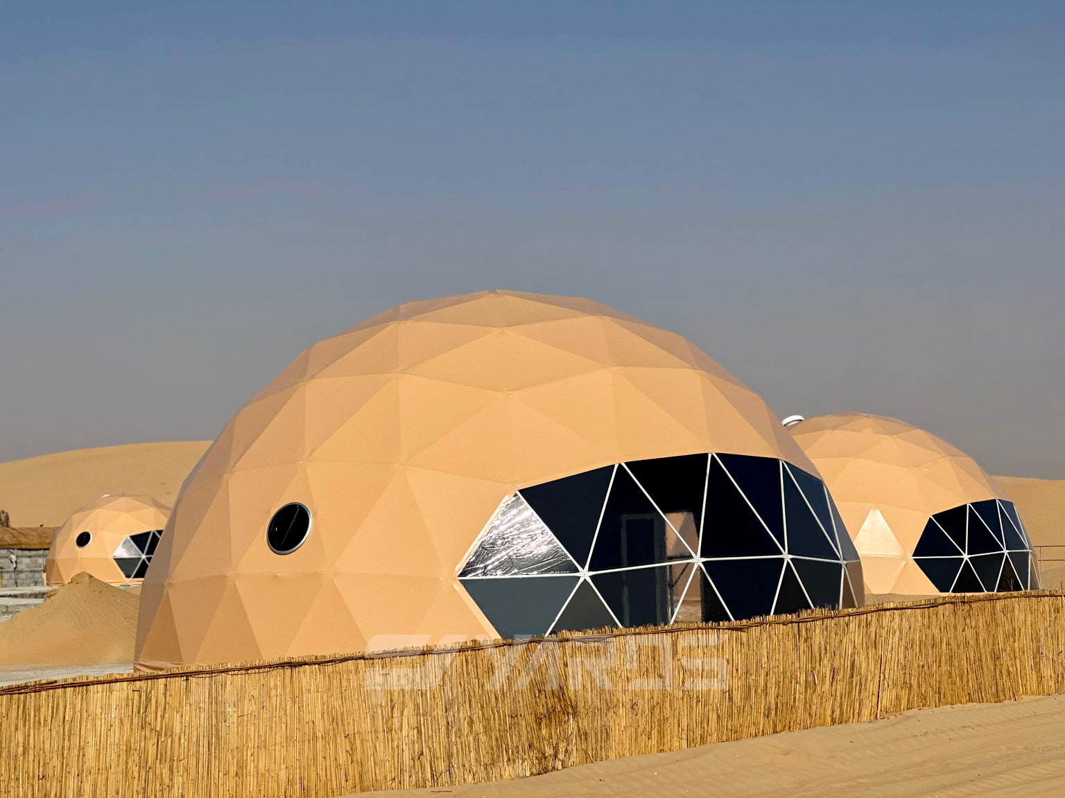 mmexport1703700389830(1)